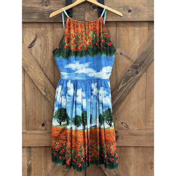 Bernie Dexter Poppies Serenity Scene Vintage Rockbilly Retro Swing Dress Sz XL - Picture 2 of 4